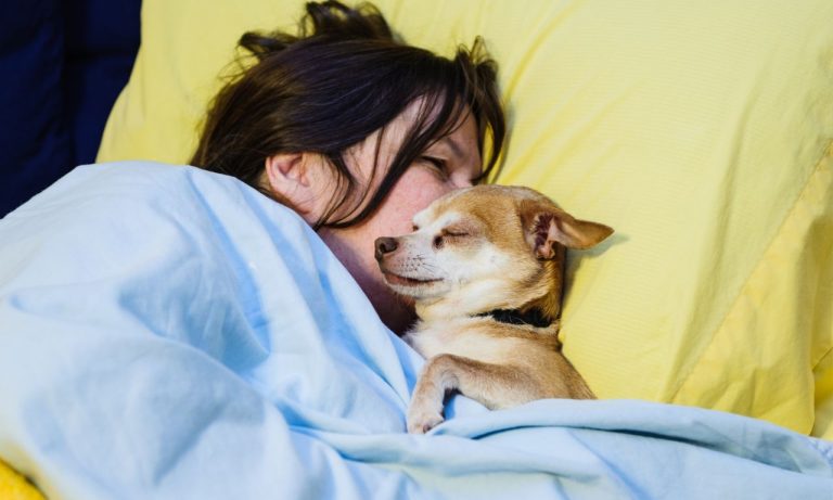 Why Do Dogs Sleep Touching Their Owners? Why Do Dogs Sleep Touching Their Owners?