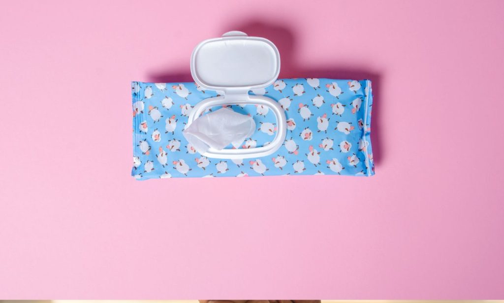 Are Pet Wipes Safe for Everyday Use?