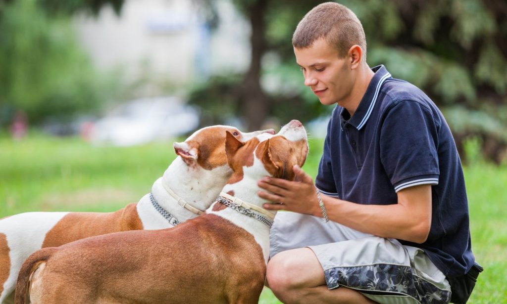 How Do Pets Recognize Their Owners?