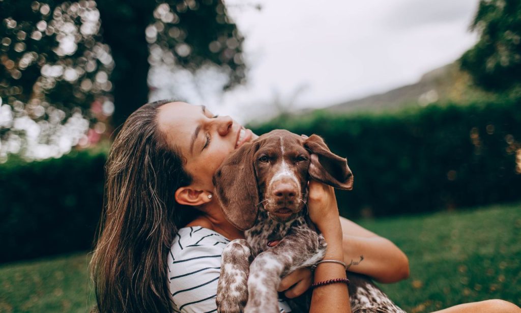 Can Pets Understand Human Emotions?