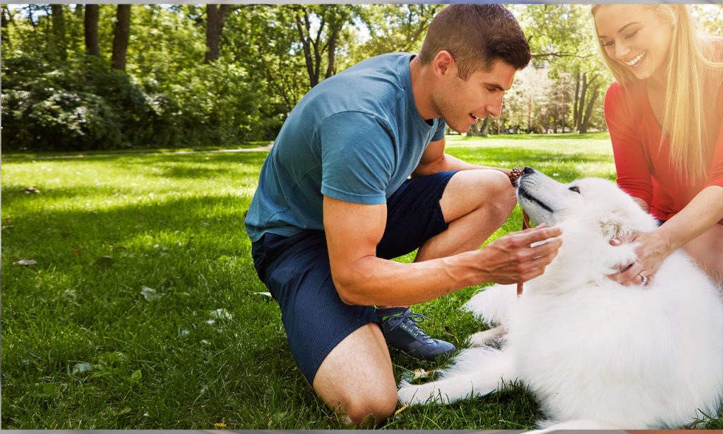 Why Do Some Pets Require More Care Than Others?