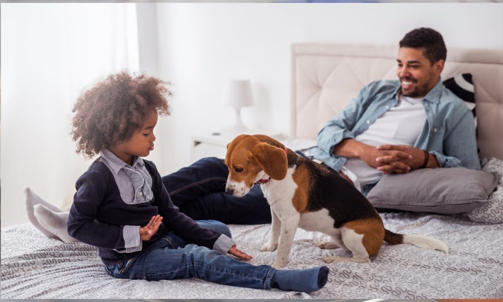 Why Do Some Pets Require More Care Than Others?