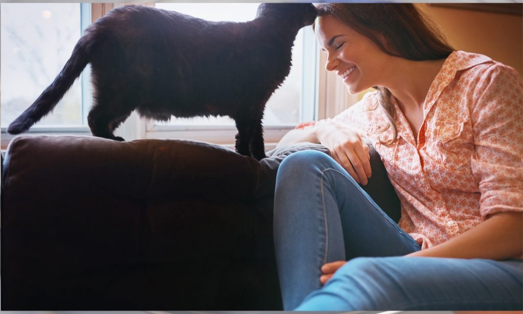 Why Do Some Pets Require More Care Than Others?