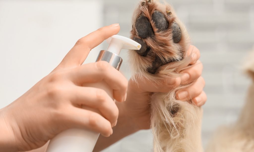 Can Human Shampoo Harm Pets?